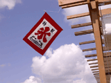 koori sign