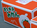 mikan box