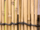 reed screen, close look