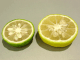 yuzu, cut